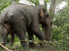 The One Who Did Not Want Help: A Resilient Team Comes To The Rescue (part 1) The One Who Did Not Want Help: A Resilient Team Comes To The Rescue (part 1)