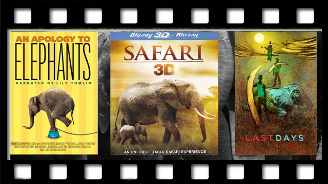 Must watch movies about elephants