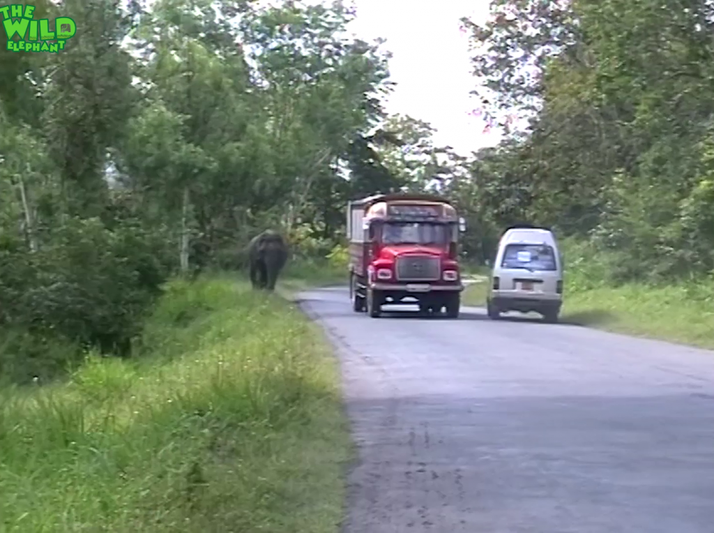 Never leave your vehicle and try to run vs. an Elephant