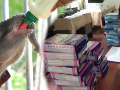 We Donated to Udawalawe Elephant Orphanage with your help