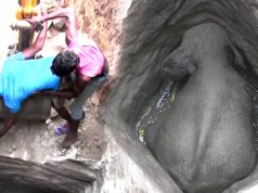 What they did to save this elephant is amazing. They destroyed a well, made with their poor money